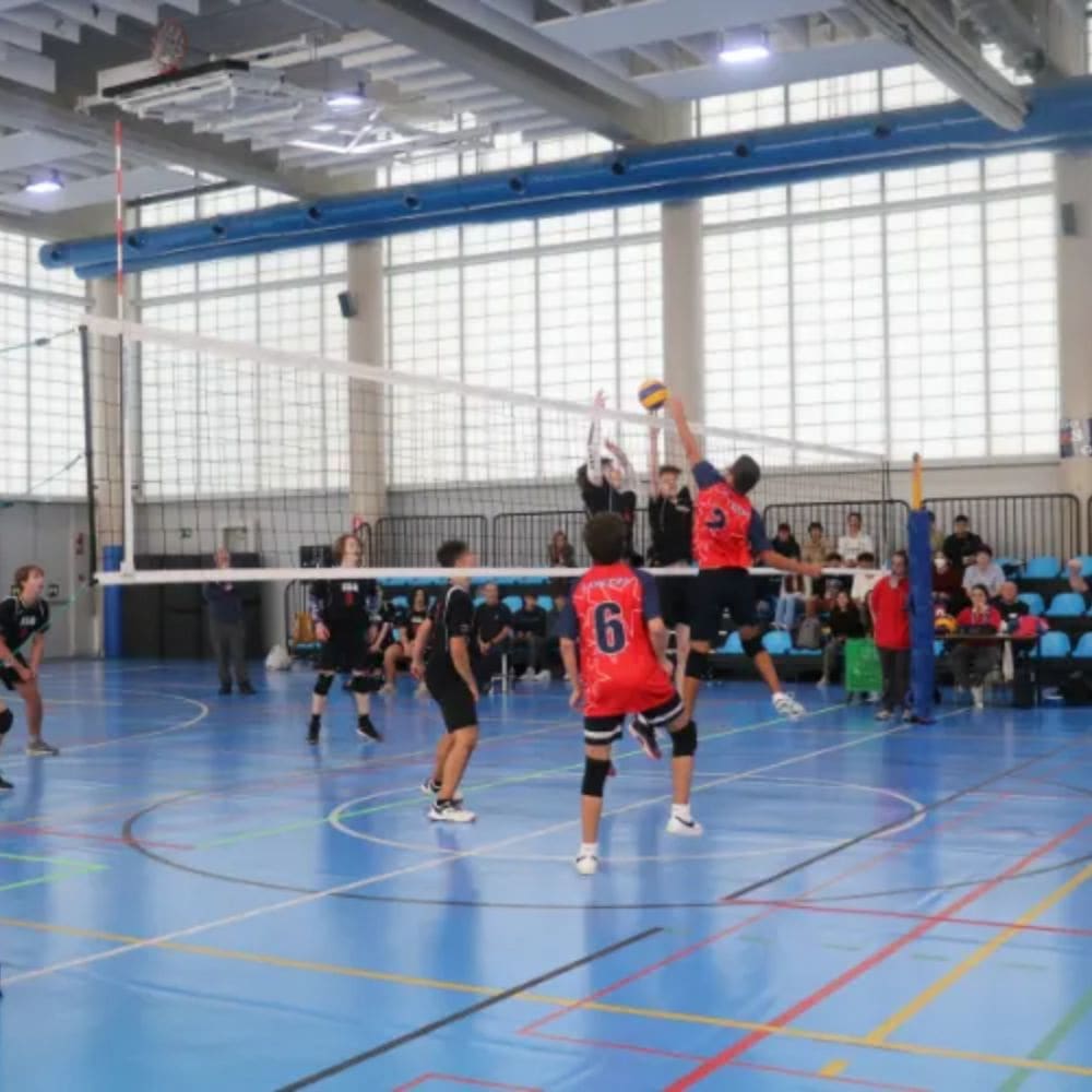 American School of Madrid – Pozuelo – Image 10