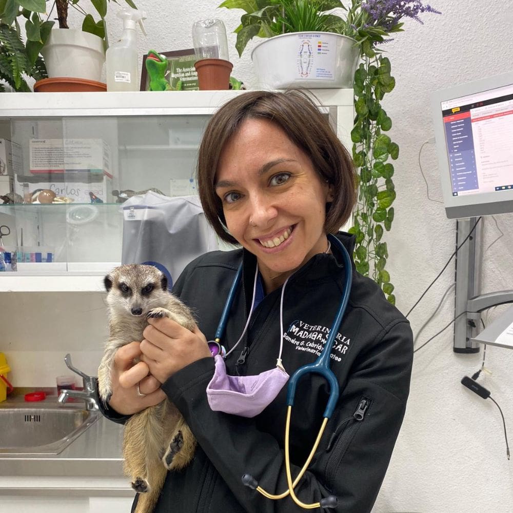 CV Madrid Exóticos-Centro Veterinarios-Milla de Oro-Barrio Salamanca-imagen-1