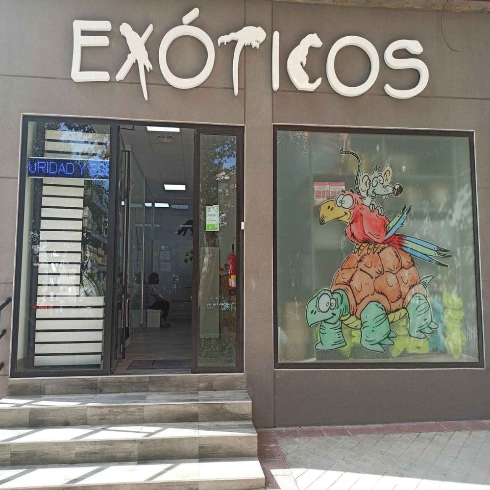 CV Madrid Exóticos-Centro Veterinarios-Milla de Oro-Barrio Salamanca-imagen-5