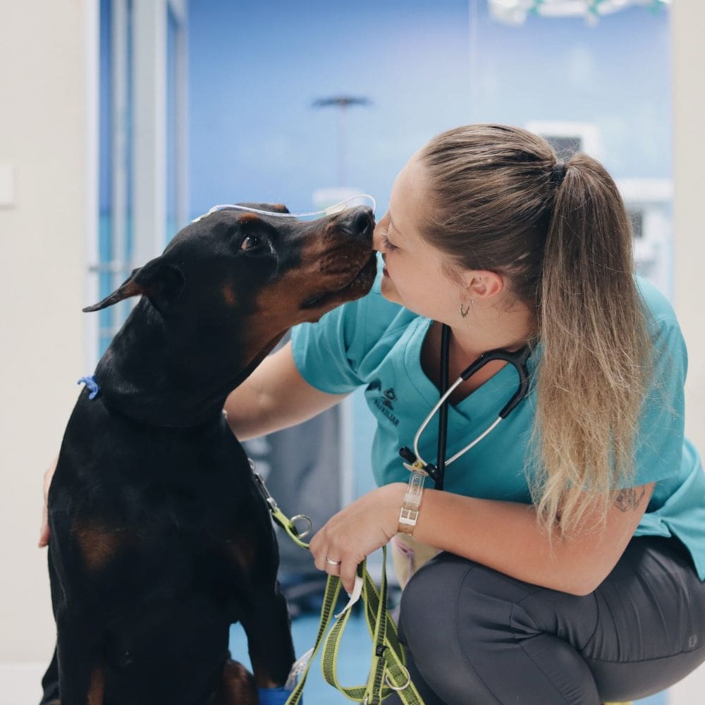 Hospital Veterinario Madrid Clinicas Veterinarias – Imagen 1