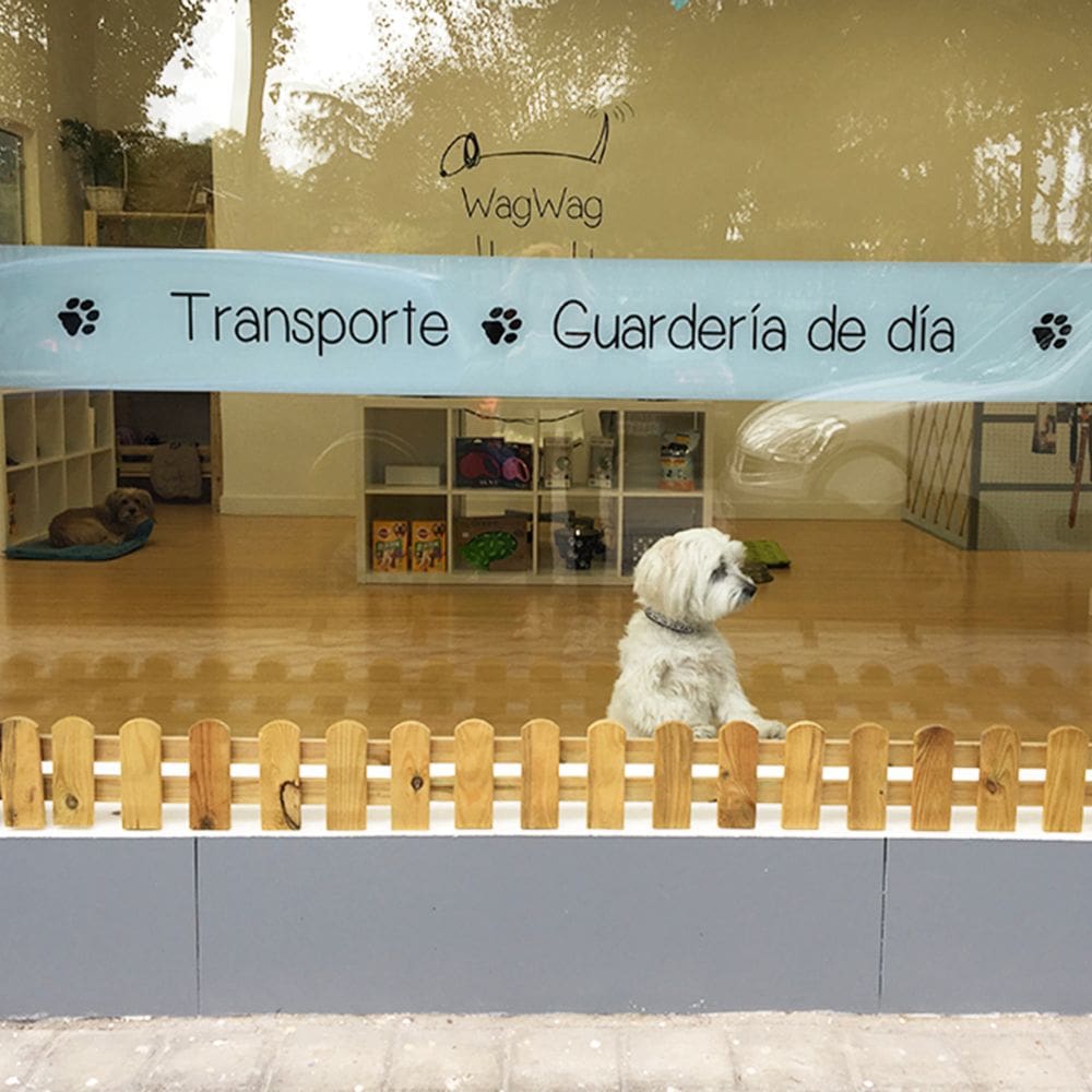 WagWag-Residencias Caninas-Milla de Oro-Barrio Salamanca-imagen-4