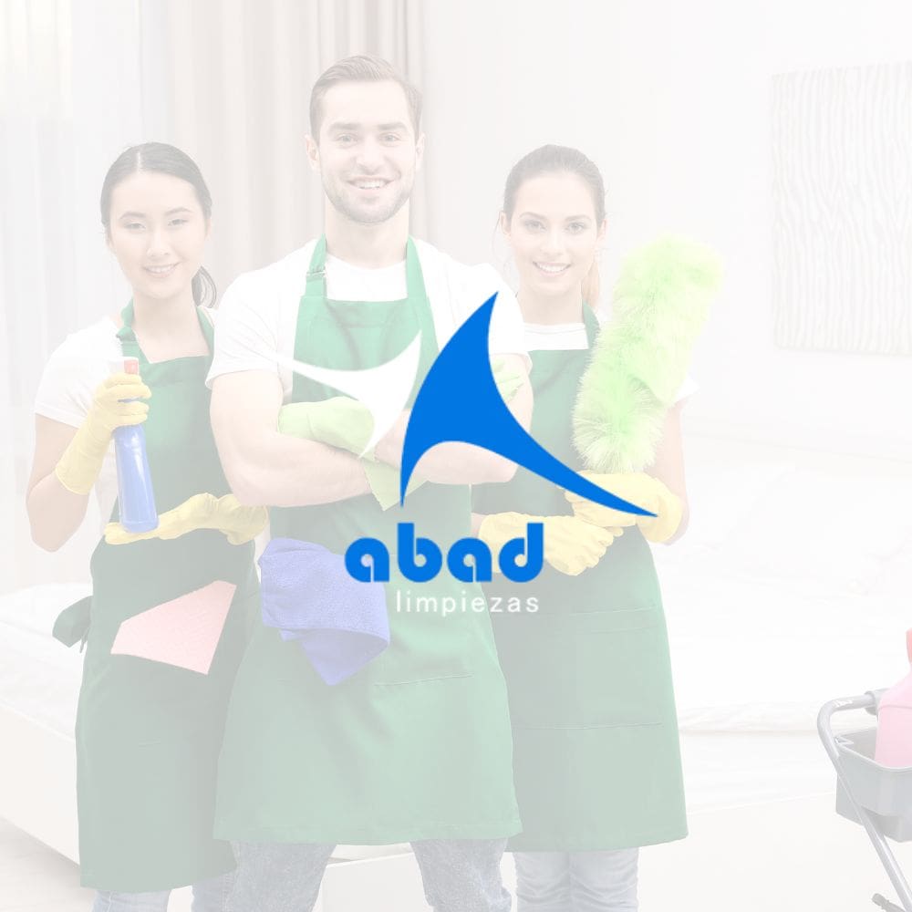 ABAD Limpiezas-Mantenimiento De Hogar-Milla de Oro-Barrio Salamanca-imagen-1
