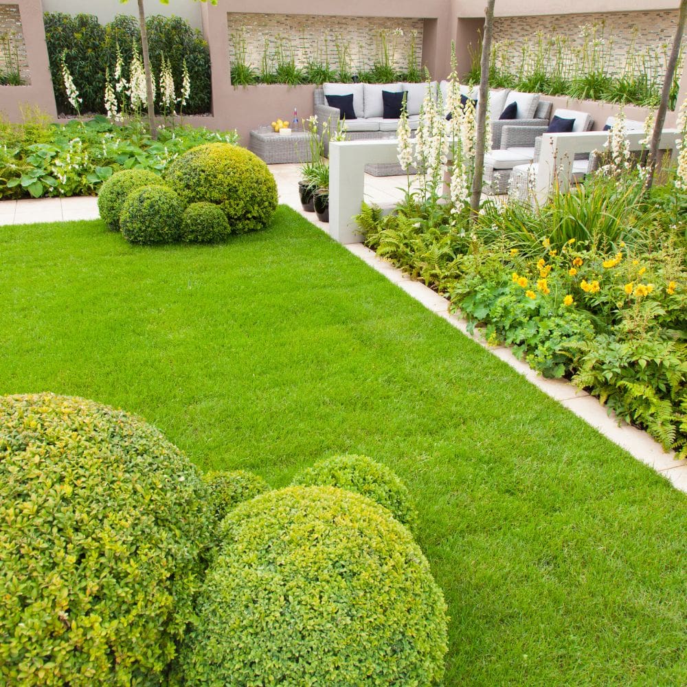 Jardines de Kalmia S.L-Jardineria-Milla de Oro-Barrio Salamanca-imagen-3